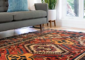 A bright and colourful oriental rug in a living room under a grey sofa with a blue cushion with a potted plant next to the window